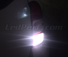 LED-Pack (reines Weiß 6000K) für Rückfahrleuchten des Dacia Duster