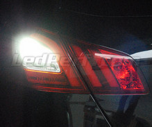 LED-Pack (reines Weiß 6000K) für Rückfahrleuchten des Peugeot 308 II