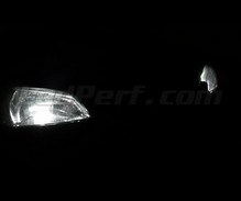 Standlicht-LED-Pack (Xenon-Weiß) für Peugeot 106