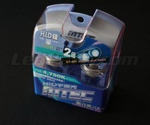 Pack mit 2 Lampen H9 MTEC Cosmos Blue - xenon Weiß