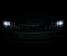 Standlichter-Set (Weiß Xenon) für Renault Laguna 2
