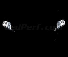 Scheinwerferlampen-Pack mit Xenon-Effekt für Hyundai Genesis
