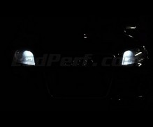 Standlicht-LED-Pack (Xenon-Weiß) für Audi A4 B7