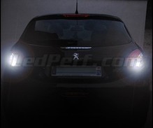 LED-Pack (reines Weiß 6000K) für Rückfahrleuchten des Peugeot 208